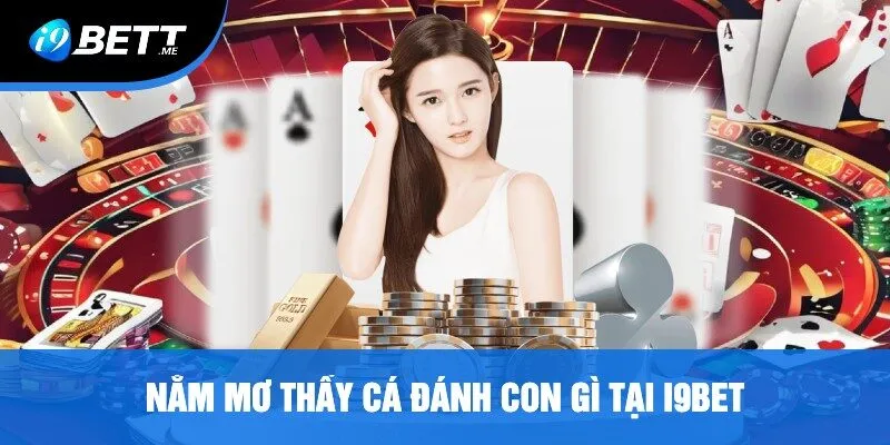 Nằm Mơ Thấy Cá Đánh Con Gì Tại i9bet